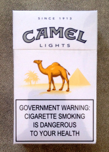 camel lights 2.jpg